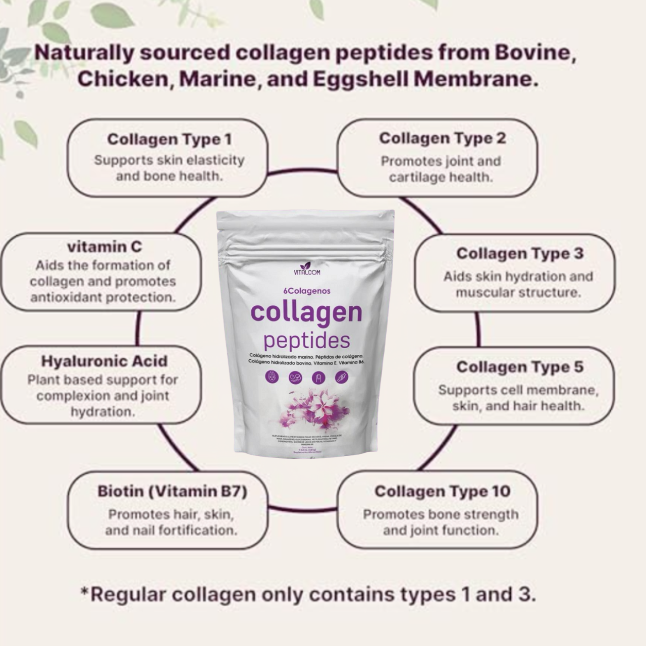 Collagen Peptides - Péptidos de Colágeno Hidrolizado 🧼